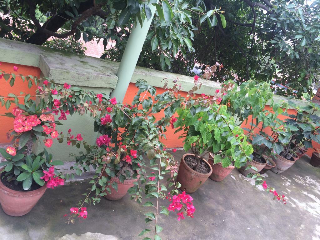 hotel Backpackers inn Kathmandu Buitenkant foto